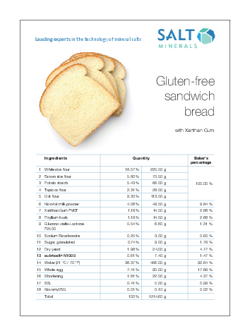 Gluten-free sandwich bread