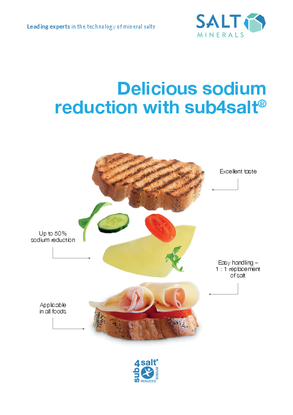 Flyer: sub4salt<sup>®</sup>