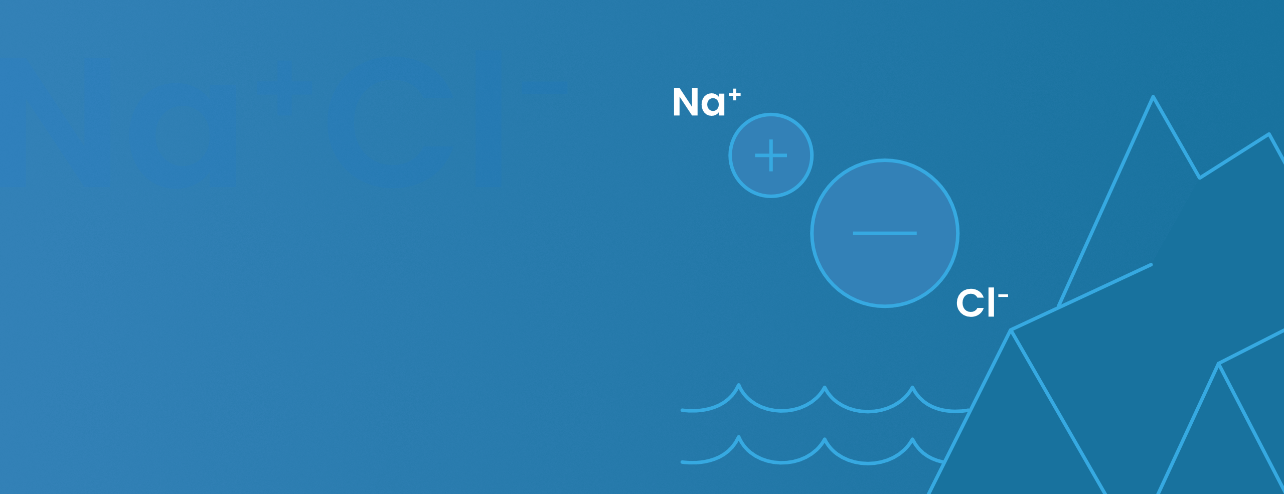 Sodium chloride ions
